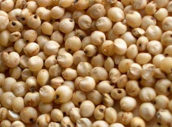 Picture of Jowar White(Jonnalu) (Juar) 1kg