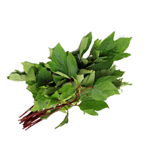 Picture of Gongura 3 nos