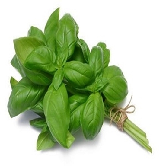 Picture of Basil  500g