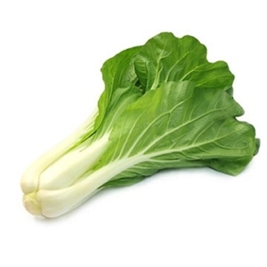 Picture of Pak  choi 250g