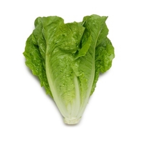 Picture of Lettuce Romaine 1nos