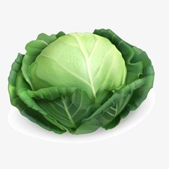 Picture of Cabbage Chinese Light Green 500g